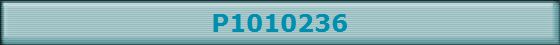 P1010236