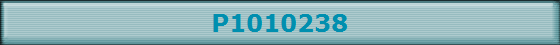 P1010238