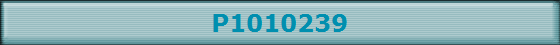 P1010239