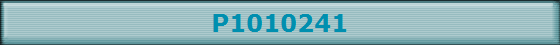 P1010241