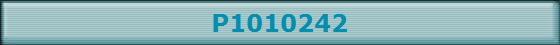 P1010242