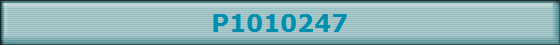 P1010247