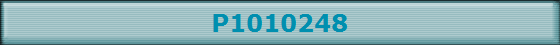 P1010248
